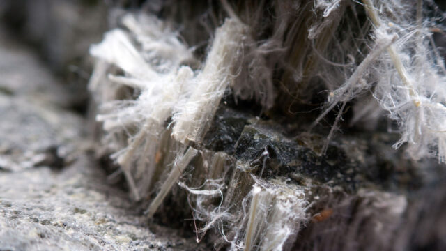 A close up of hazardous asbestos fibers