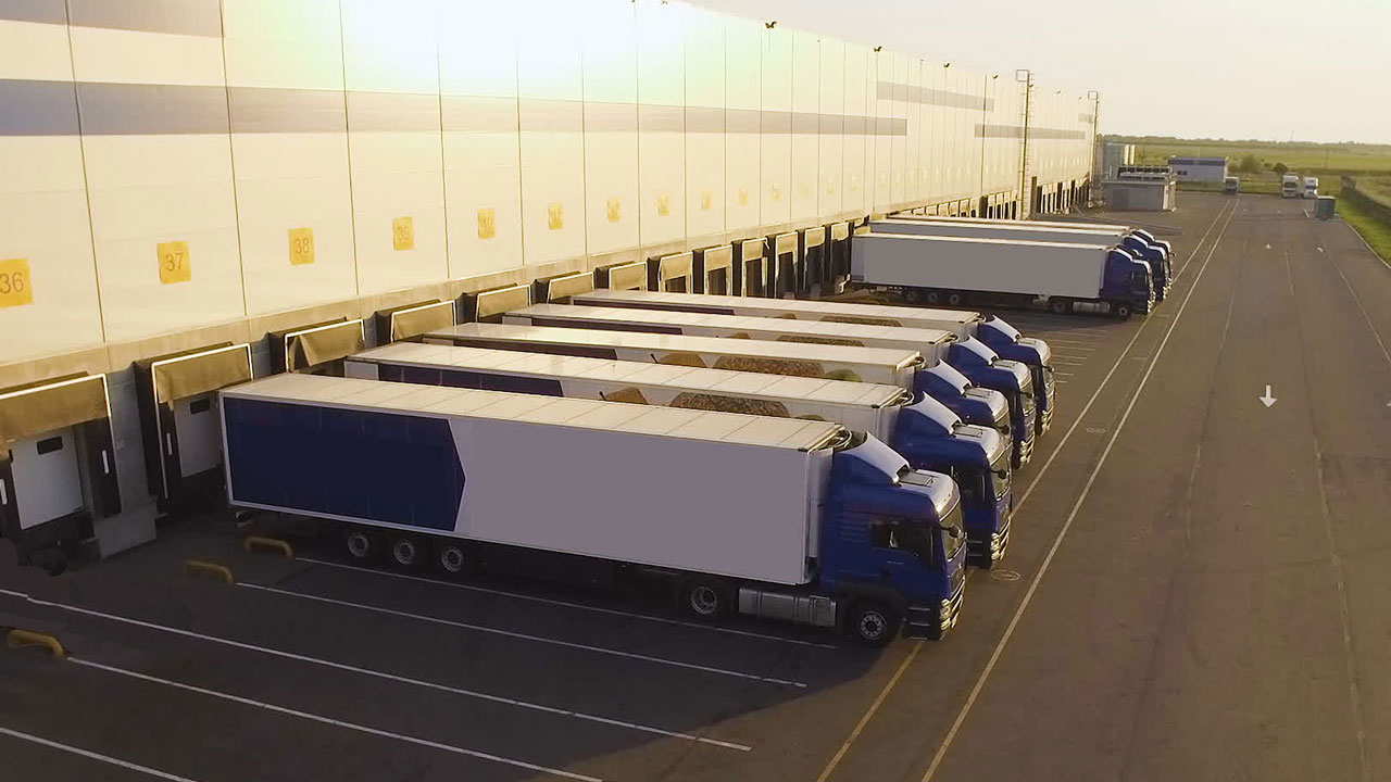 A fleet of blue and white haulage trucks parked up