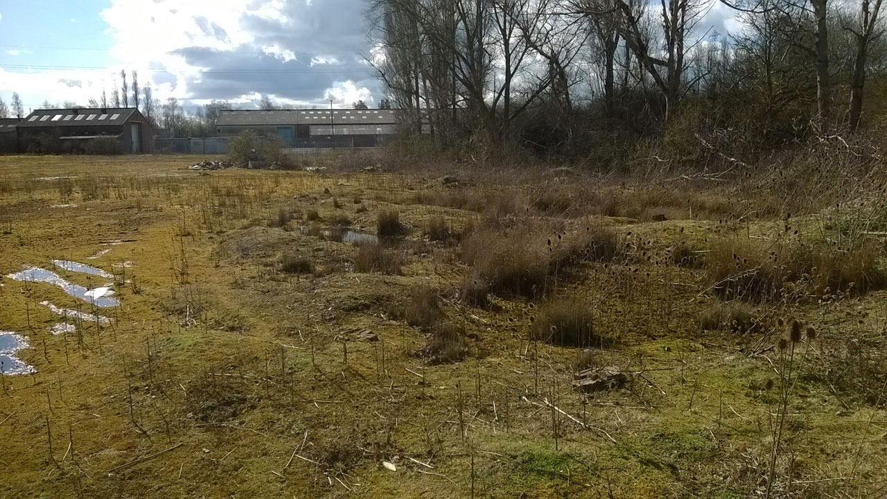 A field with facility buildings in the background on the horizon