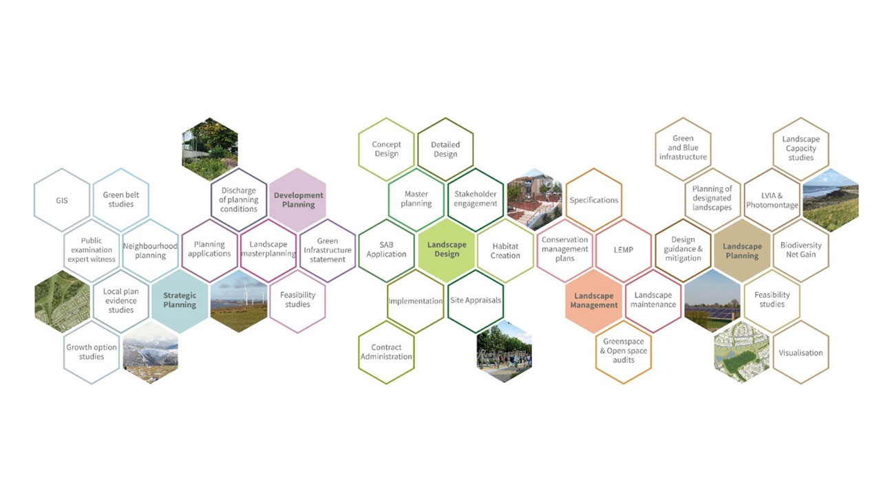Multiple hexagons with various text and images inside to demonstrate a honeycomb chart of landscape architecture processes