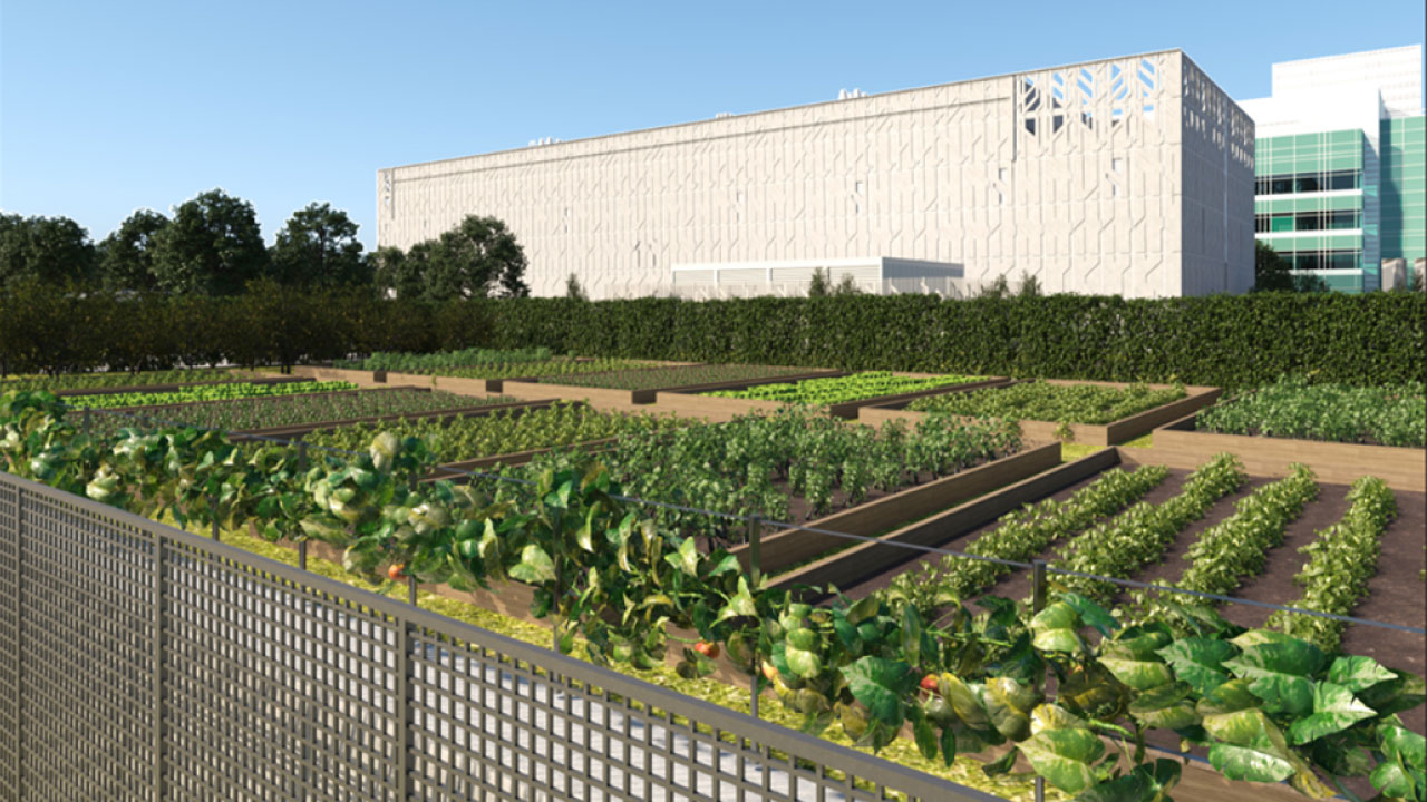 3D visualization of a big garden next to a large modern style bioscience lab building