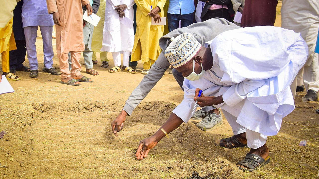 Two people bending over to plant seeds in the ground. 